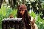 Cpt. Jack Sparrow {back} *Taken* profile picture