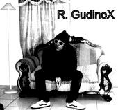 Roberto GudinoX. Proyect. profile picture