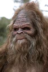 Sasquatch profile picture