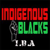 Indigenousblacks I.B.A profile picture