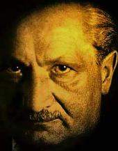 Gli Heidegger profile picture