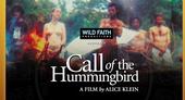 callofthehummingbird