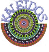 KaleidosGroup profile picture