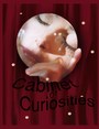 CABINET OF CURIOSITIES profile picture