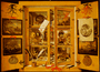 CABINET OF CURIOSITIES profile picture