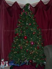 mychristmastree