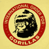 International Order For Gorillas profile picture