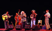 David Grisman Quintet profile picture