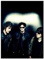 Black Rebel Motorcycle Club profile picture