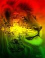 Lion of Judah profile picture