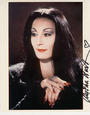 ©Morticia Addams profile picture