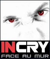 INCRY profile picture