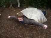 Whistonurtle! profile picture