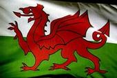 WALES profile picture