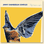 Jimmy Chamberlin Complex profile picture