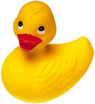 Rubber Duck Software profile picture