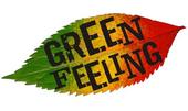 Green Feeling profile picture