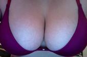 Breasts of the World profile picture