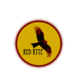 Red Kyte profile picture