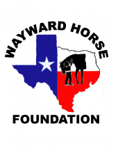 waywardhorsefoundation