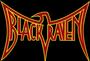 BLACK RAVEN - HEAVY METAL BAND profile picture