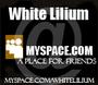 White Lilium [BOOK US NOW] profile picture