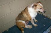 KY HELP ANNIE!!!! Ive been in a shelter 4 months!! profile picture