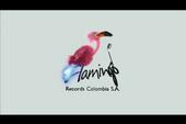 FLAMINGO RECORDS profile picture