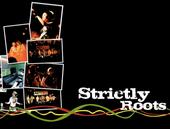 Strictly Roots profile picture