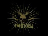 THE STORM (is currently on HIATUS) profile picture