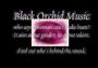 Black Orchid Music profile picture