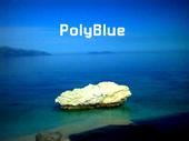 PolyBlue profile picture