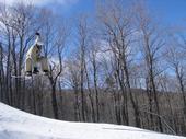 flyingbobcat