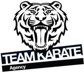 TEAM KARATE AGENCY. profile picture