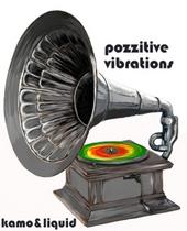 Pozzitive Vibration Sound System kamo and liquid profile picture