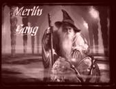 MERLIN GANG profile picture