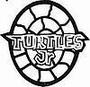 TURTLES JR profile picture