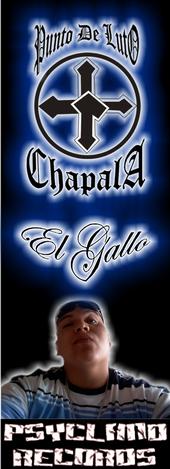 EL GALLO(official space) 376 PSYCLAND RECORDS profile picture