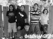 InsinuaciÃ³n (Our first album!! almost done) profile picture