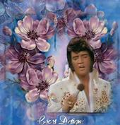 Elvis1935-77 profile picture