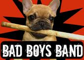 Bad Boys Band profile picture