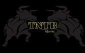 The Animals,T.n.T.B`records profile picture