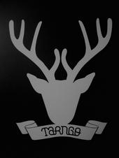 tarngo profile picture