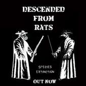 Descended From Rats profile picture