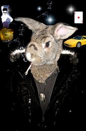 crack_rabbit_rulezthehood