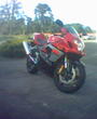 gsxr love profile picture