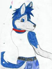 Kobalt -Male Husky Escort- profile picture