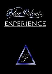 BLUE VELVET EXPERIENCE profile picture