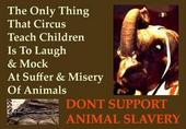 Abolish Animal Circuses profile picture