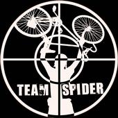 Team Spider profile picture